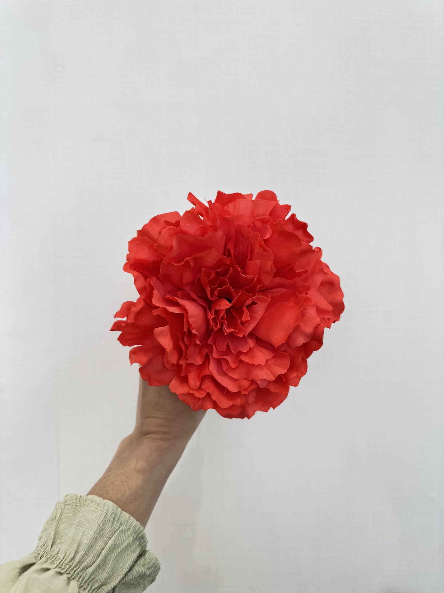 Peonía grande coral