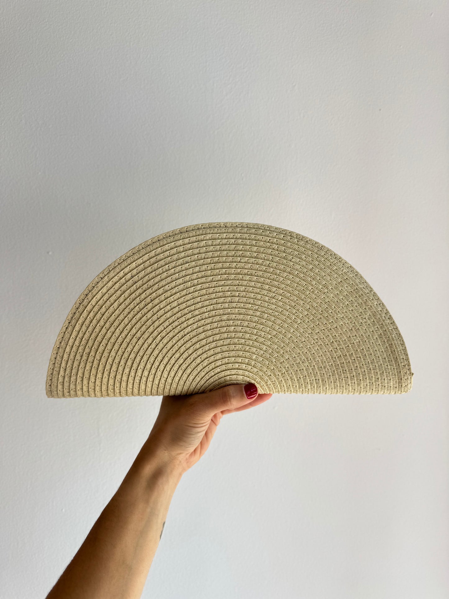 CARTERA ABANICO