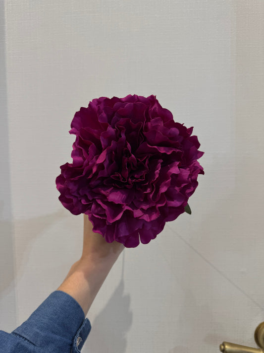 Peonía grande buganvilla